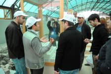 В Азербайджане найдены "холодильник" XVIII века и большая мечеть XVI века (фото)